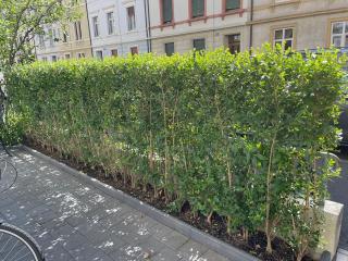 City AppartementStJakob10minSBB5minMesse10min - 8