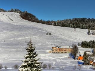 derWaldfrieden naturparkhotel - Herrenschwand - 5