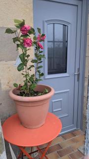 La gargolette - - 2