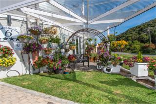 Pearl White Sands - 3