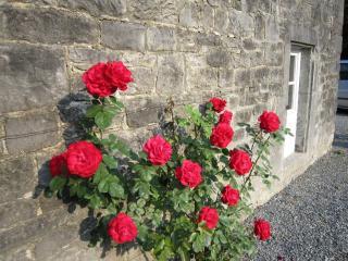 Cosy Cottage in Barvaux-Condroz with Garden - Barvaux-Condroz - 5