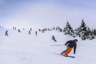 Landal Salztal Paradies - 2