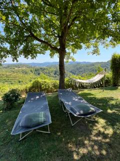 Haloze Chill - Podlehnik - 8