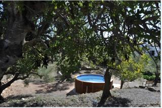Casa Arbol - Camarles - 9