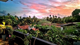 Black Pearl Apartments - with free snorkeling Mirissa - 5