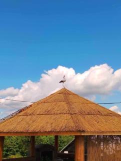 Chatka Przytulasek - 2