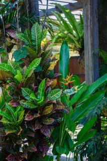 Villa Kesari Trees Oasis Sanur - 2