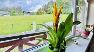 Apartment KLENOT - 1