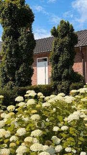 Ferienwohnung Ederweg - 9