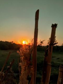 فندق دار تونس الزيتون - 7