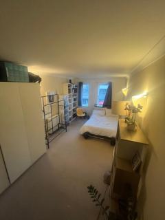 Beautiful large 1-bed apartment overlooking regents canal - Londra - 0