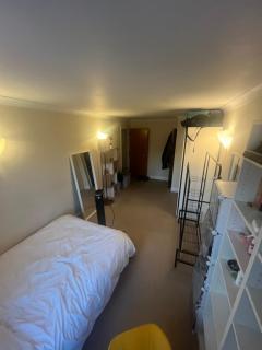 Beautiful large 1-bed apartment overlooking regents canal - Londra - 5