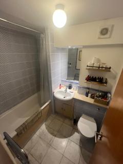 Beautiful large 1-bed apartment overlooking regents canal - Londra - 2