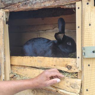 Pokoje Gościnne Smrekowa 27A - 3