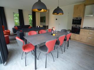 Luxury Villa in Texel - 6