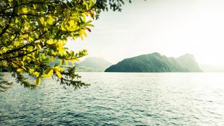 Hotel Vitznauerhof - Lifestyle Hideaway at Lake Lucerne - 1