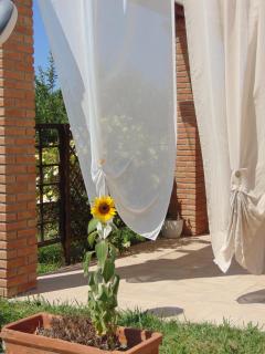 Ca'Melia Villetta - Sarzana - 9