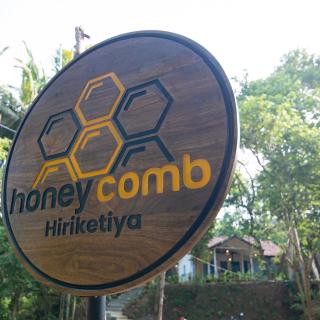 Honey Comb - 9