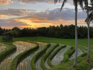 Coco Verde Bali Resort - 3