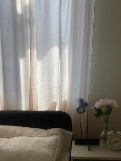 cozy 1 bedroom retreat Walk to Moa - 4
