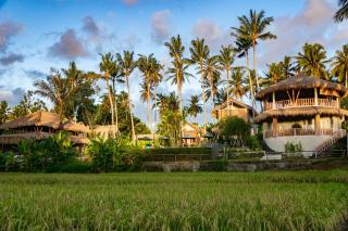 Coco Verde Bali Resort - 8