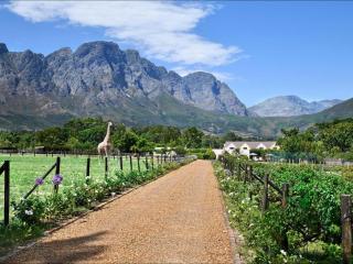 Belle Dauphine Guest House - Franschhoek - 5