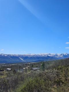 Charming cabin - 8
