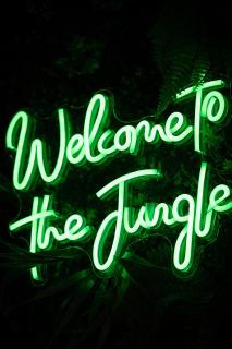 Suite Eden Jungle, nuit romantique à 2, evasion tropicale - 8