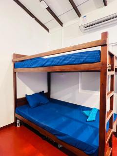 Trinco Bay Dive Hostel - Trincomalee - 8