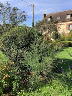 La Cour de l'église - 3