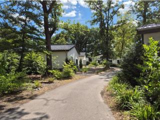 Luxe recreatiewoning midden in bosrijke omgeving 31L - 5