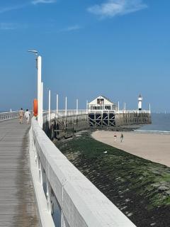 Blankenbeach-50m from beach and Casino - 9