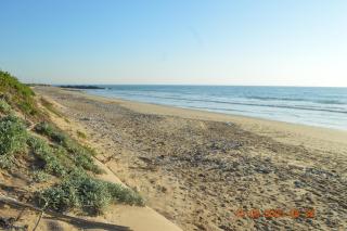 80 Steps to the Sea - 4