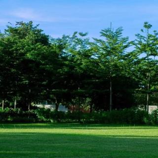 Njele Country Park - Ndola - 3