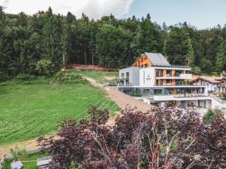 Oberwiesen Rooms, Apartments & Spa - 3