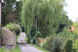 Chantry Cottage - Chard - 7