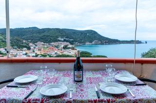 Giglio Blu 1 - Giglio Campese - 6