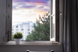 Room with 2 beds in the Old Town - 5