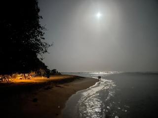 Sayuri Beach Hotel - Matara - 6