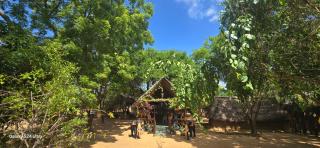 Thumbaya Resort Yala - 4