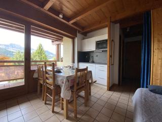 Appartement cosy 1 chambre avec balcons, proche pistes, parking inclus - FR-1-733-162 - 1