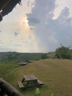 Johanna's Farm - - 9