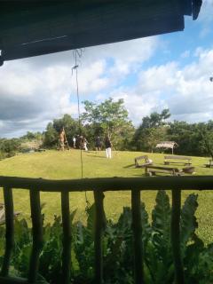 Johanna's Farm - - 8
