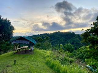 Johanna's Farm - - 6