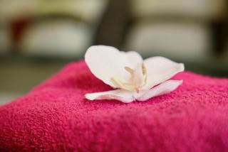 Mas La Farelle Chambre d'hote,Fitness & Salle de jeux Gratuite & SPA en supplément - Nîmes - 1