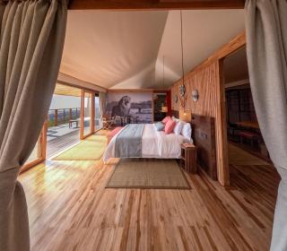 Neptune Serengeti Luxury Tented Camp - Serengeti-Nationalpark - 9