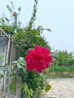 Air Puteri Rest House - Mersing - 3
