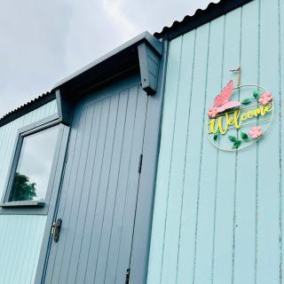 Harpers Huts - Lanivet - 4