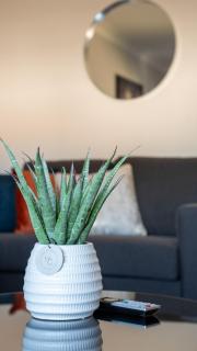Mercer Apartment - Alloa - 3