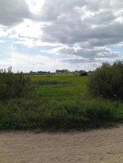 ŁĄKA NA WYŁĄCZNOŚĆ NA PODLASKIEJ WSI HAJNÓWKA BIAŁOWIEŻA namiot, biwak, kemping - - 0